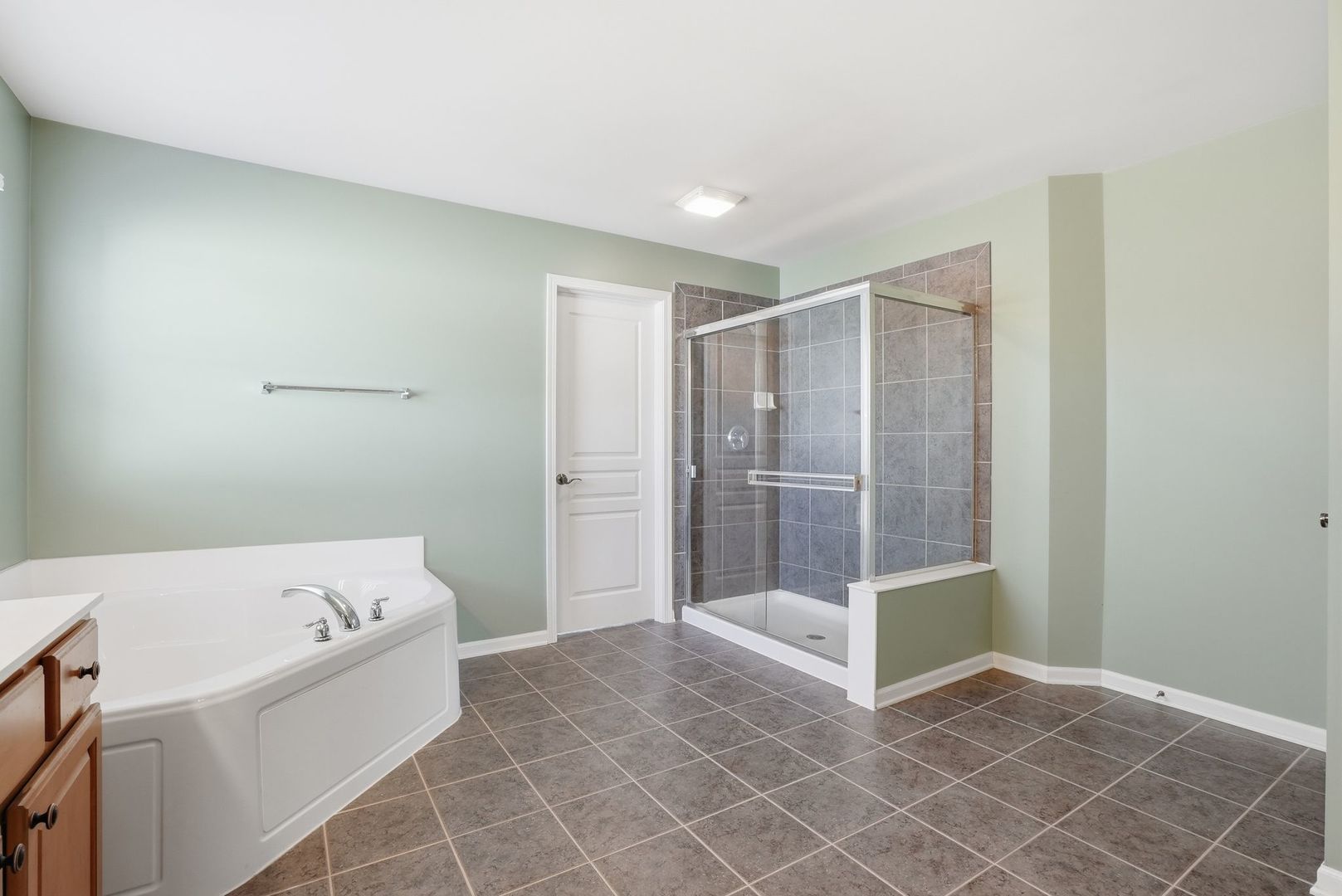 12312 BLUE IRIS Lane, Plainfield, IL 60585