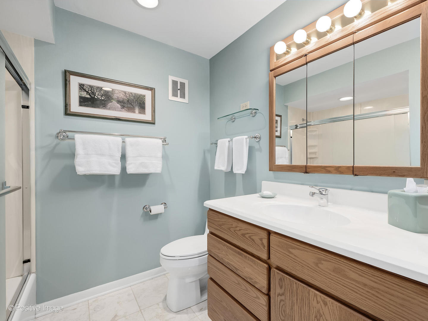 703 E Redwood Lane, Arlington Heights, IL 60004