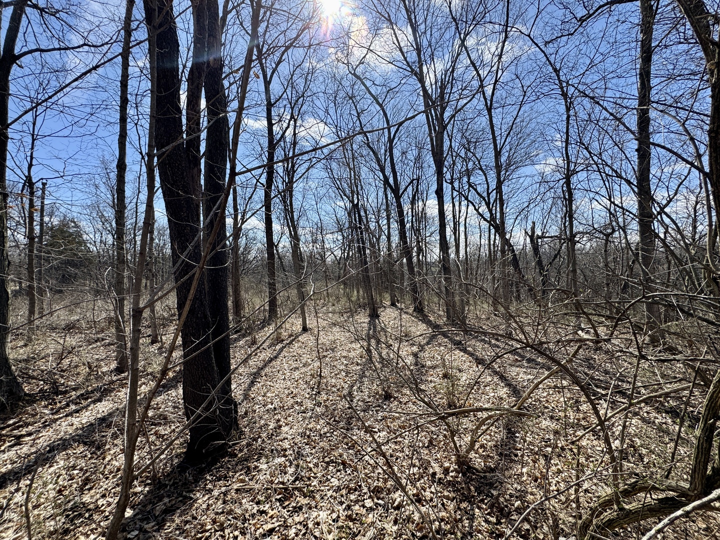 0 1725 E Street, Tiskilwa, IL 61368