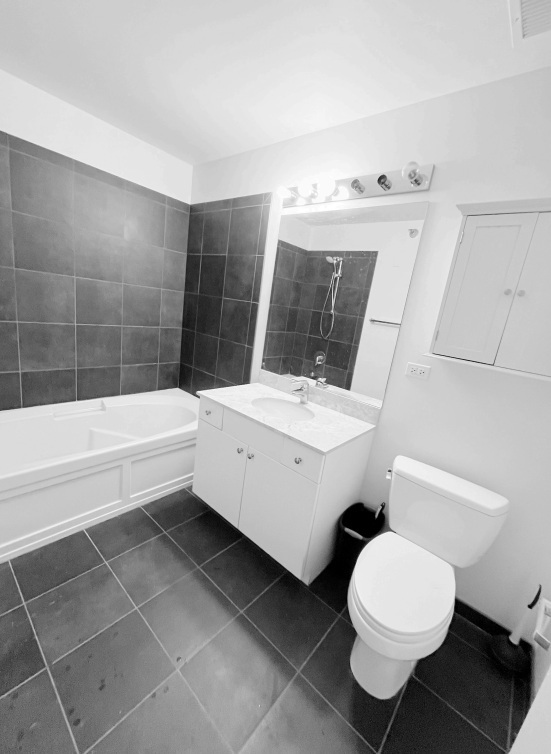 235 W Van Buren Street #2908, Chicago, IL 60607