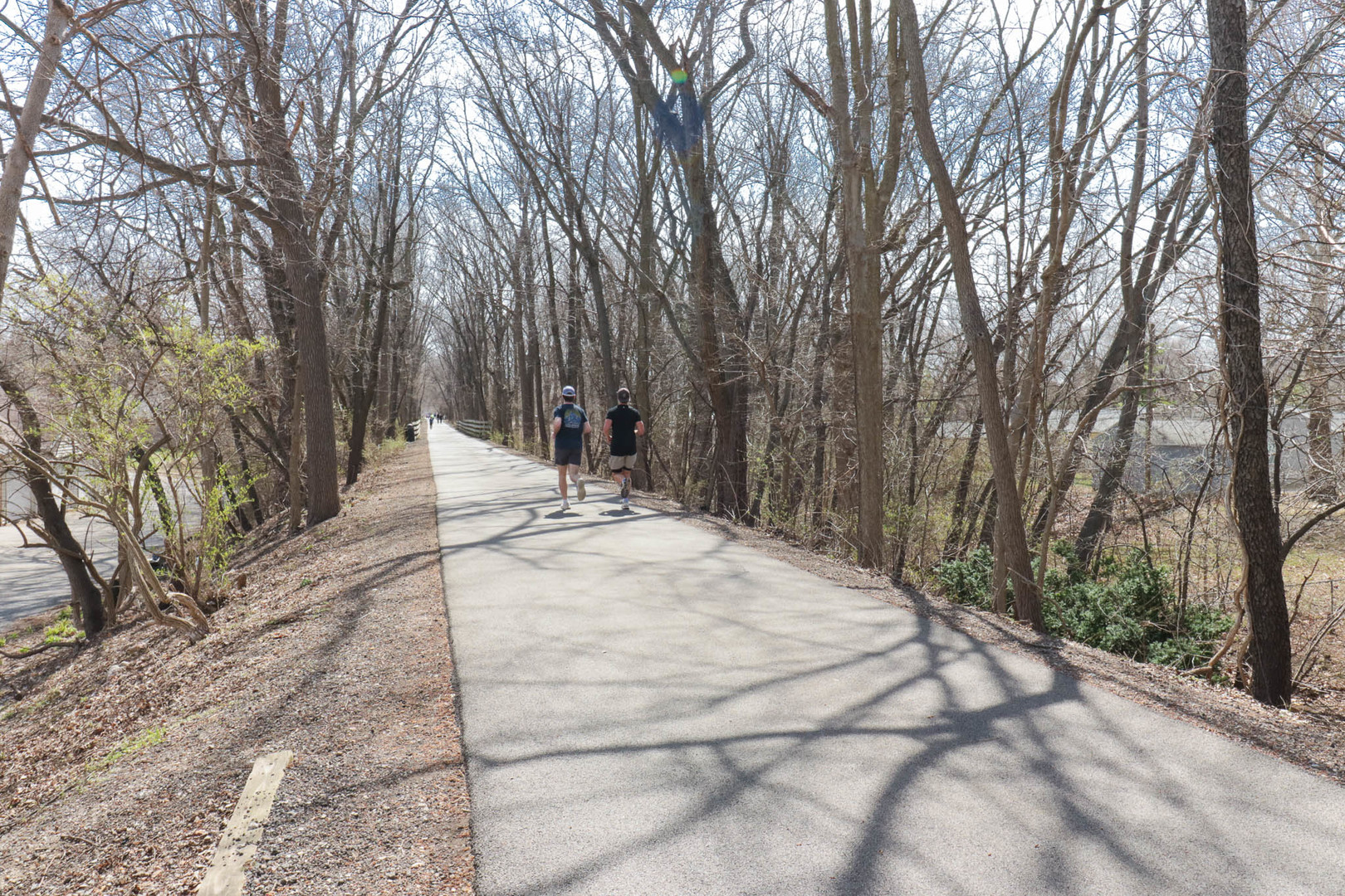 903 N Linden Street #207, Normal, IL 61761