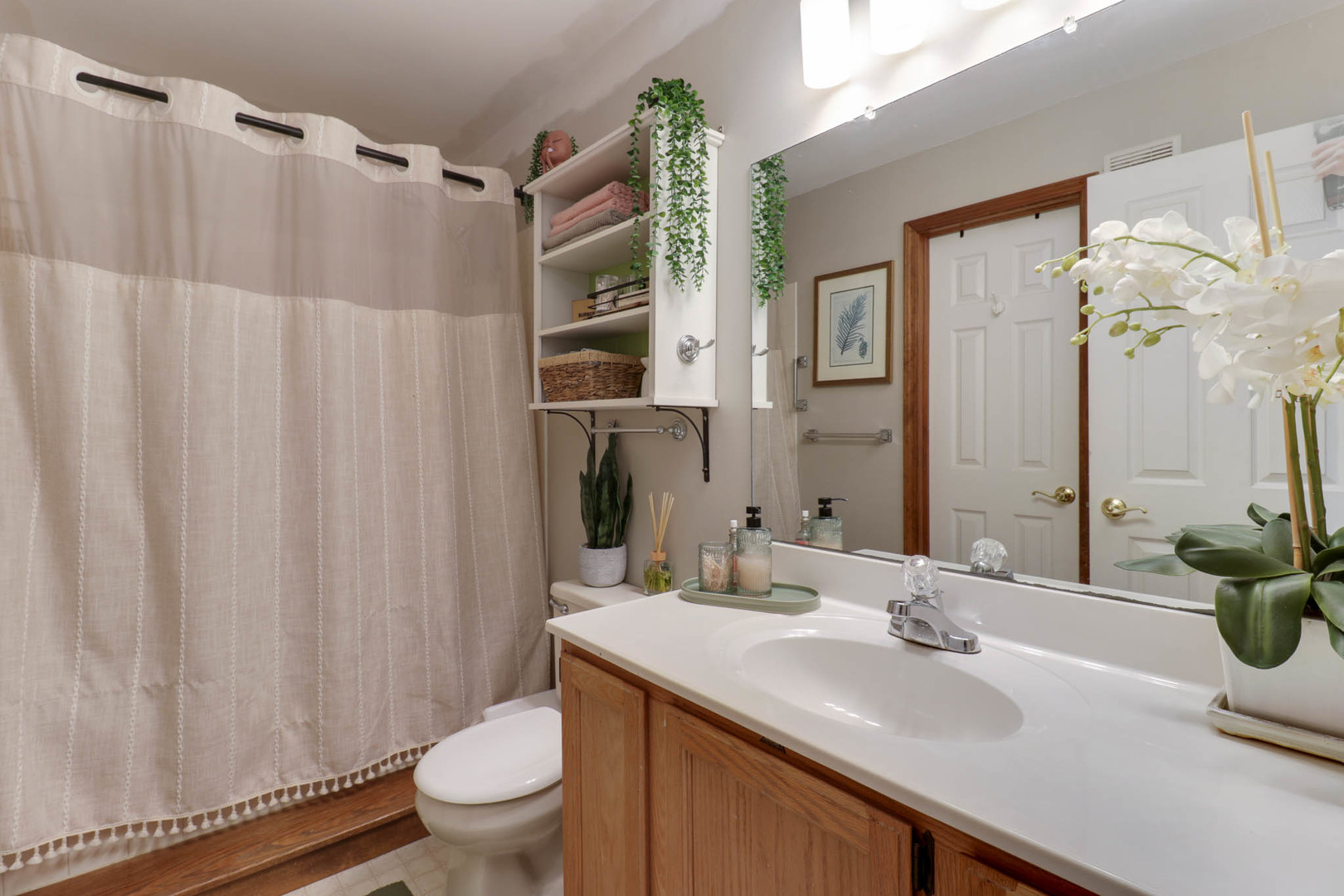 903 N Linden Street #207, Normal, IL 61761