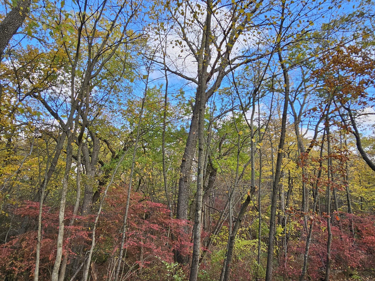 404 Oak Drive, Roberts, IL 60962