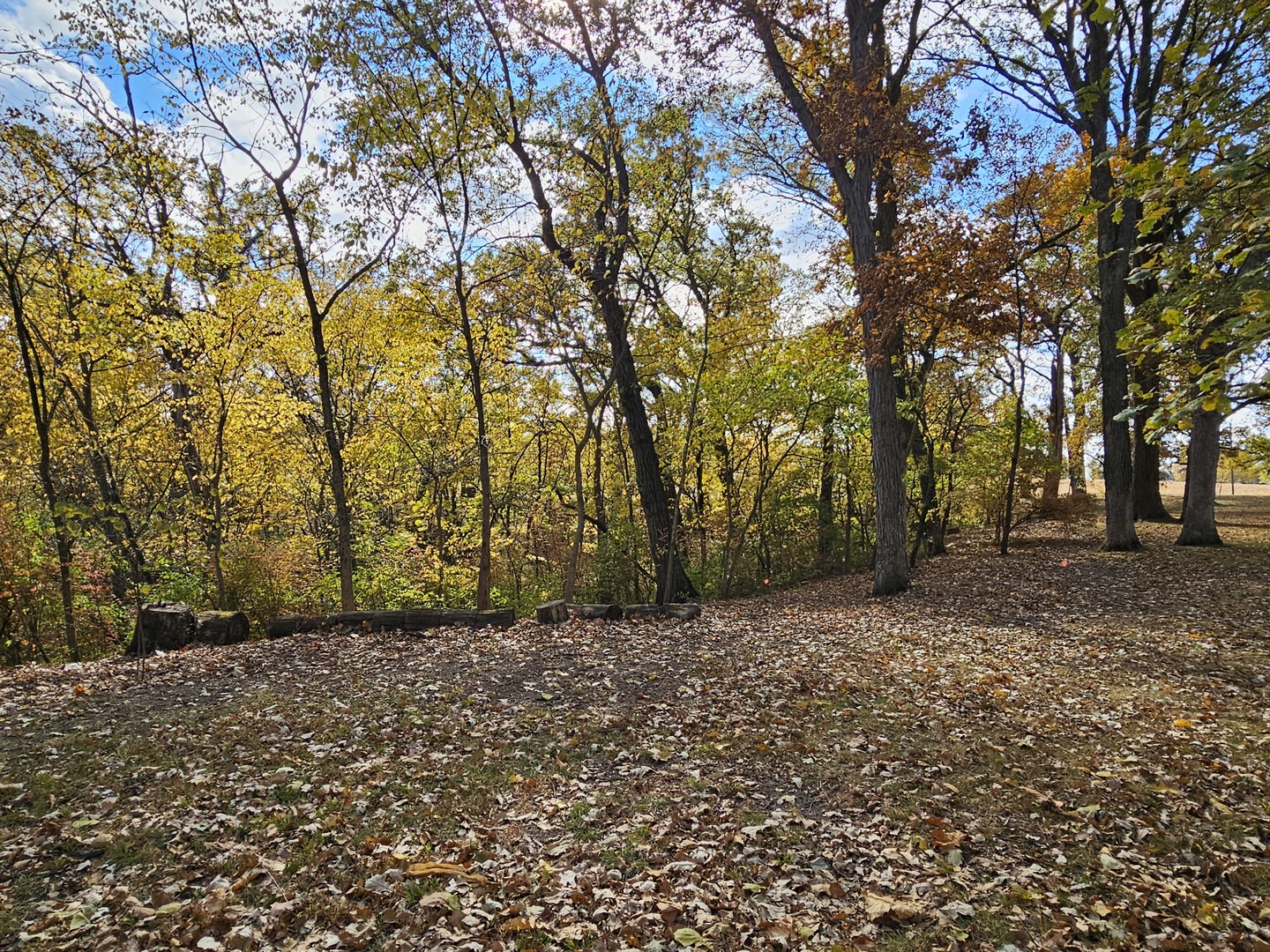 404 Oak Drive, Roberts, IL 60962