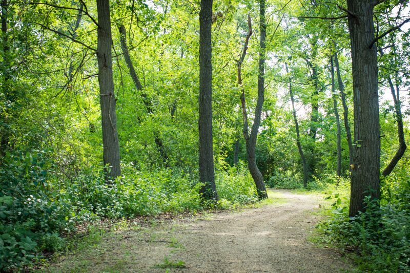 1542 Meadow View Lane, Grayslake, IL 60030