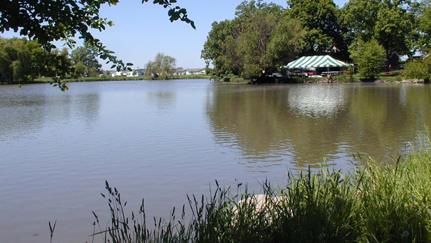 1542 Meadow View Lane, Grayslake, IL 60030