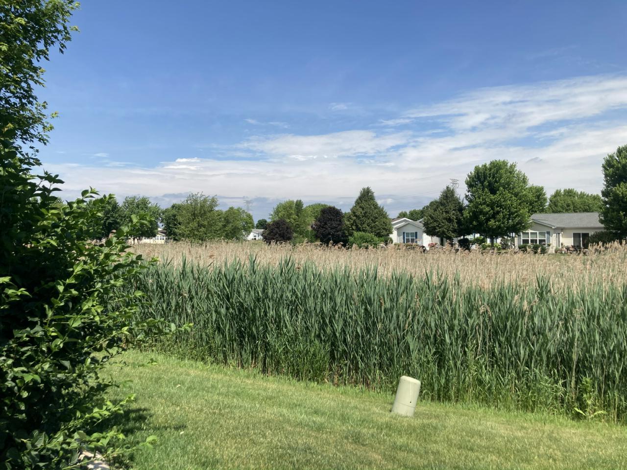 1542 Meadow View Lane, Grayslake, IL 60030