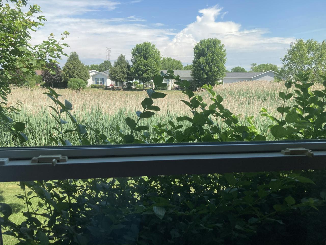 1542 Meadow View Lane, Grayslake, IL 60030