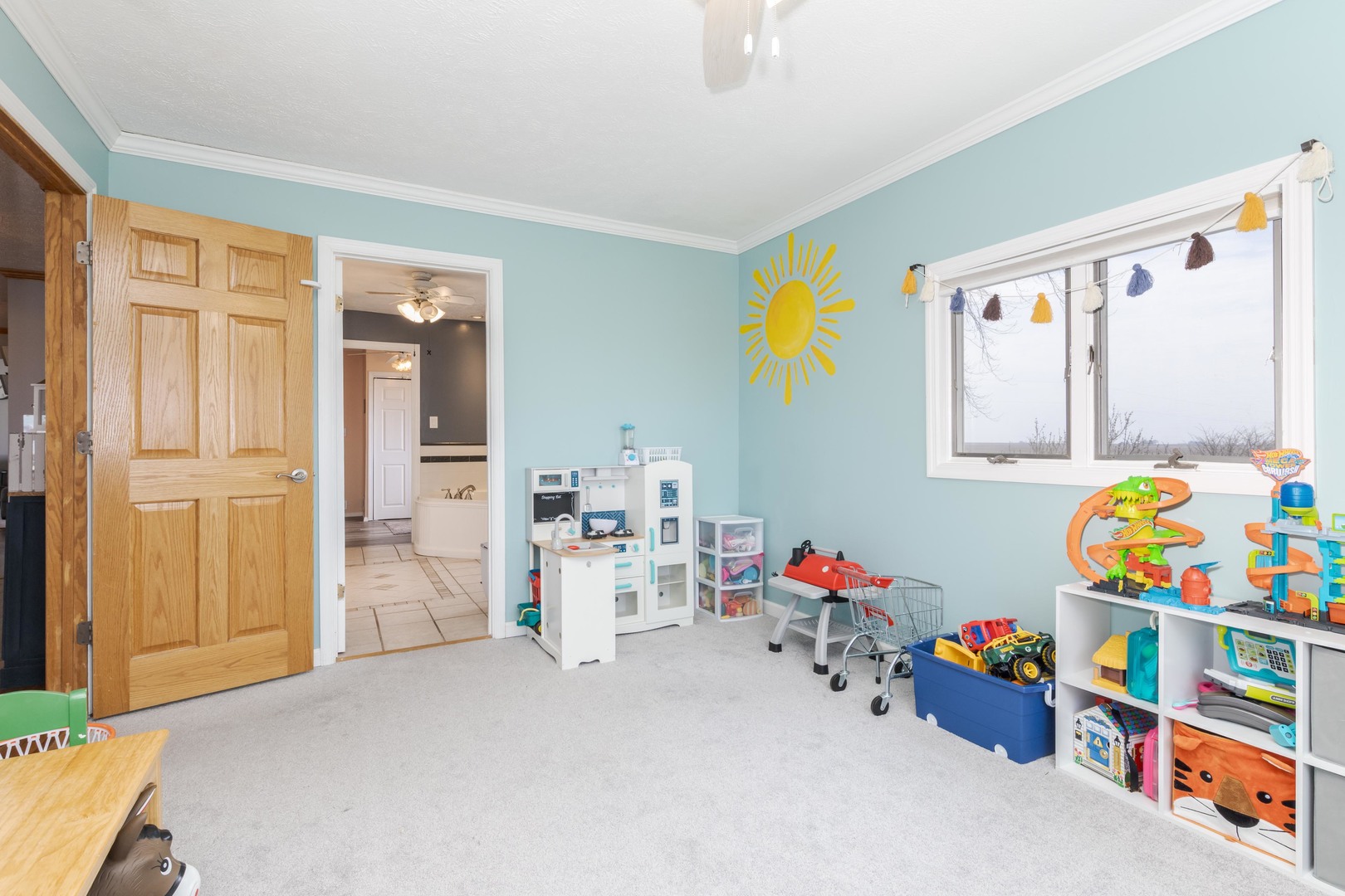 13532 E 600 North Road, Heyworth, IL 61745