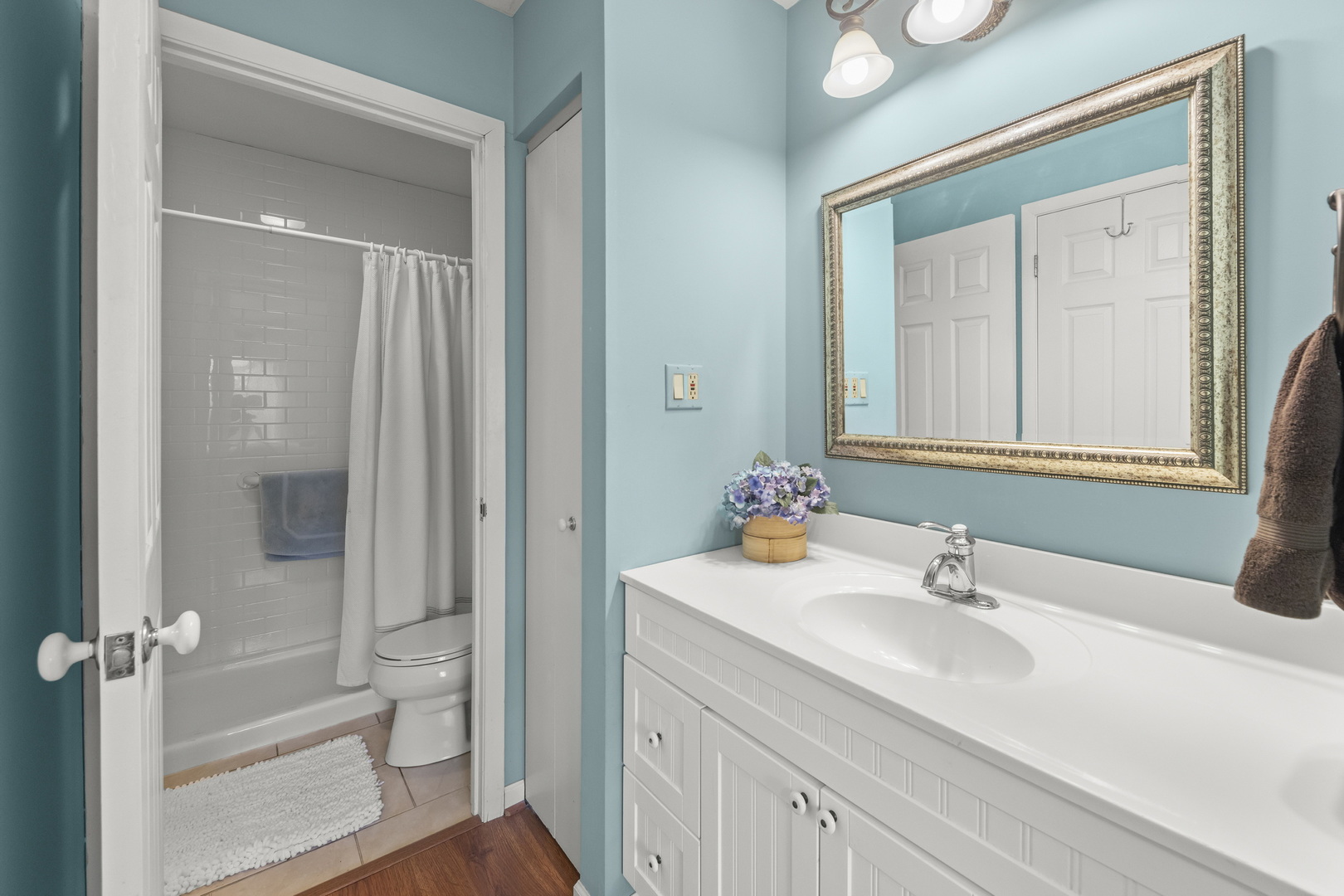 1755 Plymouth Court #D, Wheaton, IL 60189