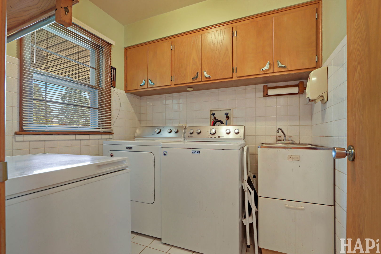 1733 Camellia Lane, Schaumburg, IL 60173