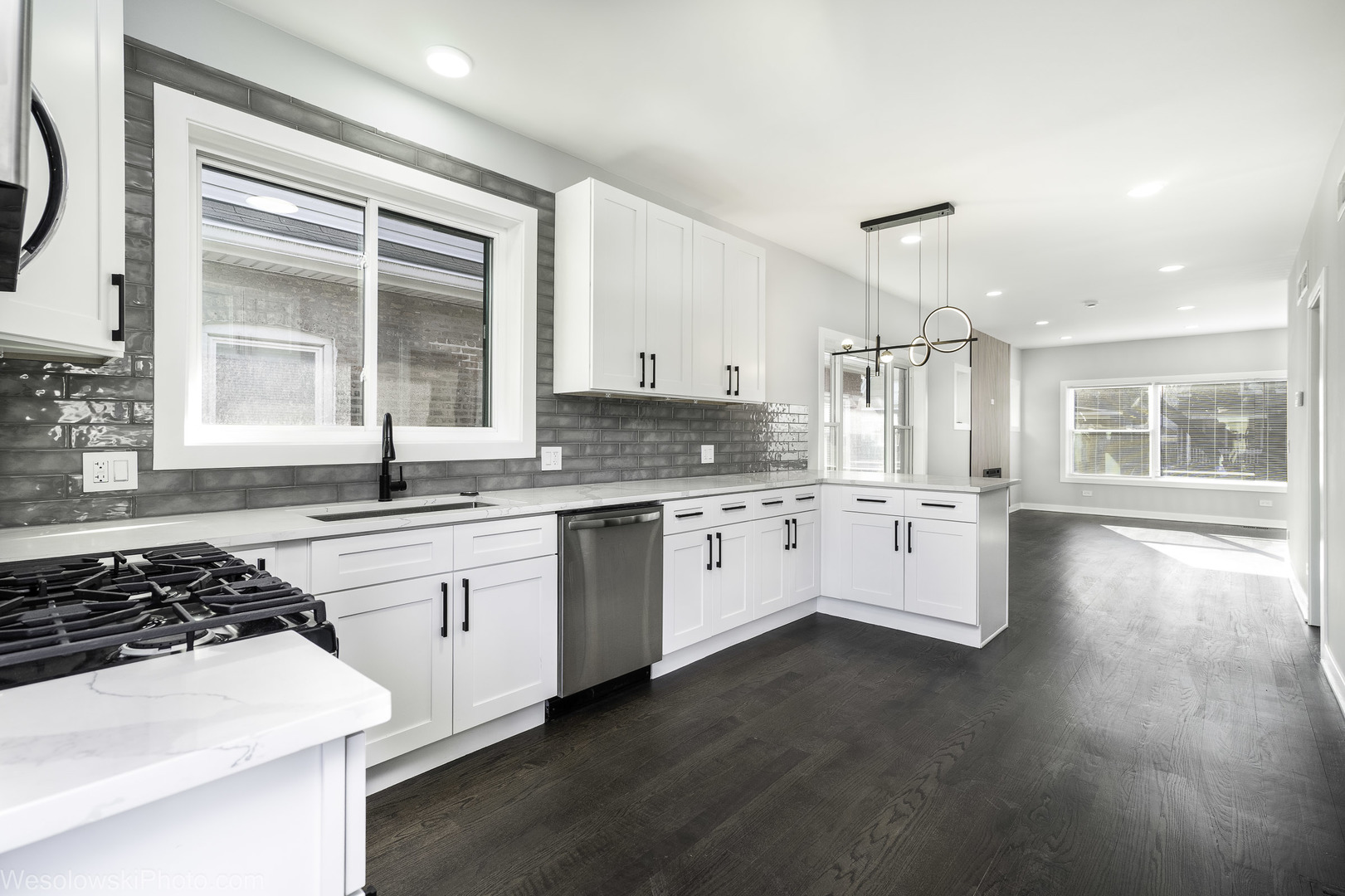 1047 N Saint Louis Avenue, Chicago, IL 60651