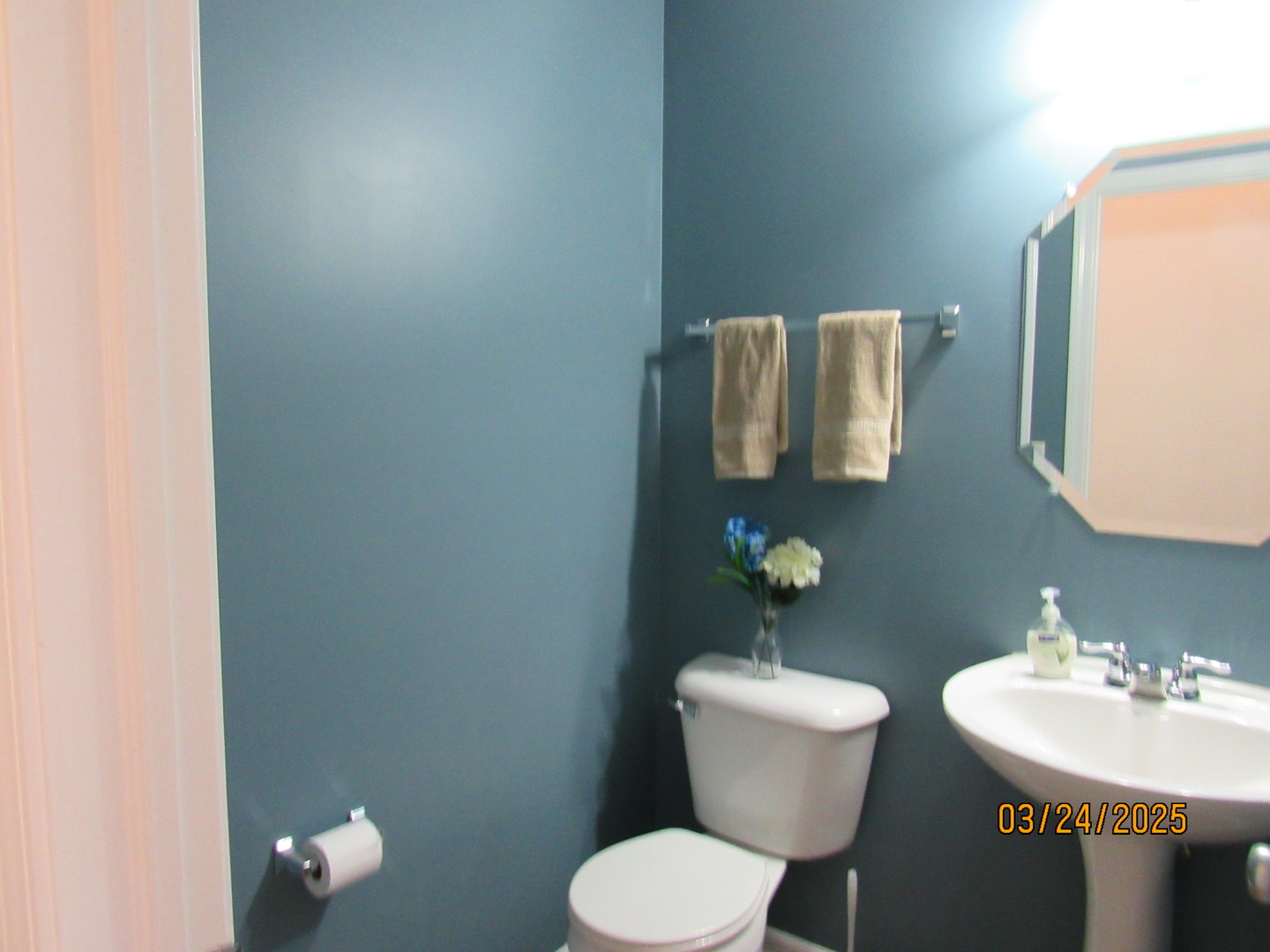 494 S Jade Lane, Round Lake, IL 60073