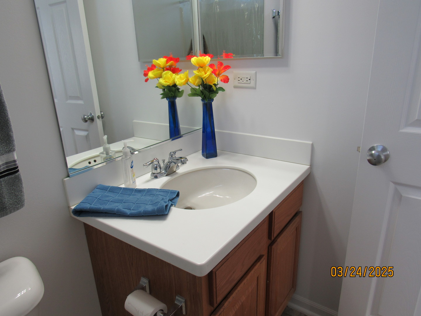 494 S Jade Lane, Round Lake, IL 60073