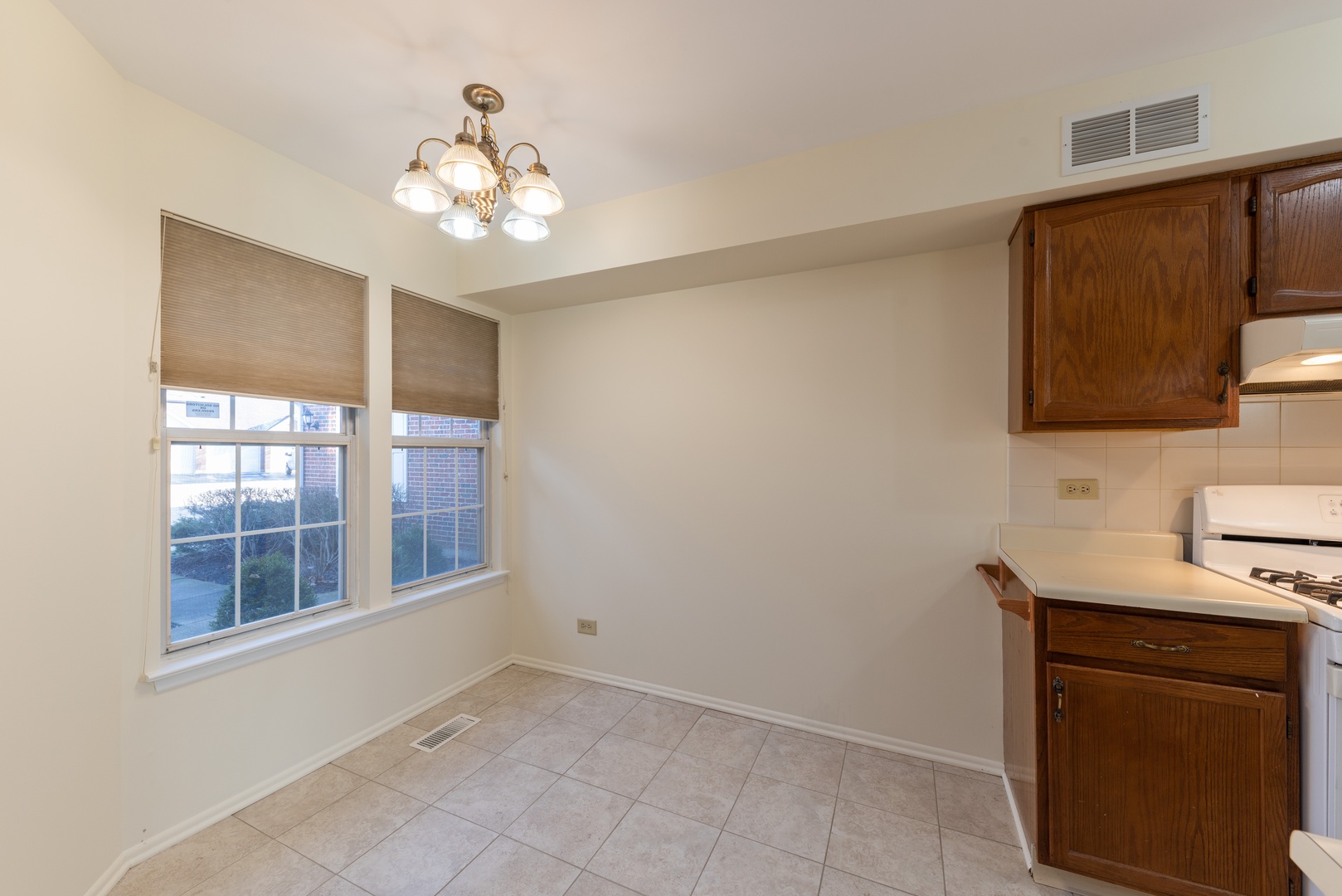 260 E Fabish Drive, Buffalo Grove, IL 60089