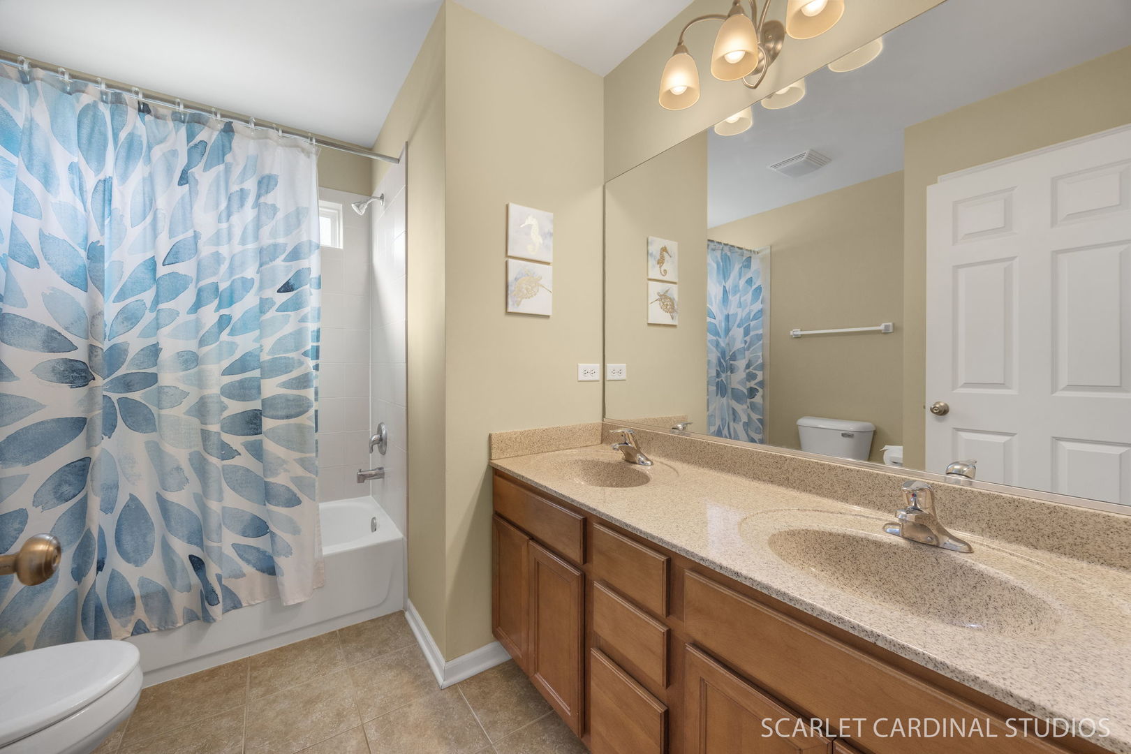 829 Preston Lane, Oswego, IL 60543