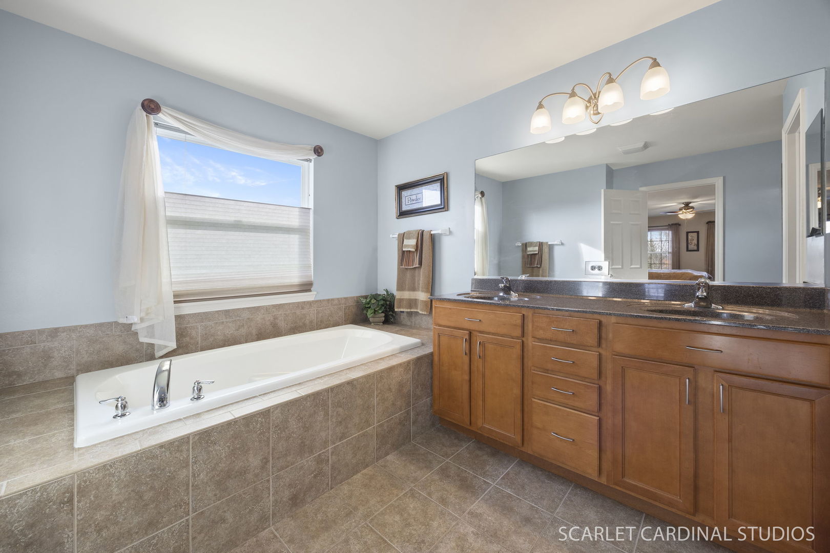 829 Preston Lane, Oswego, IL 60543