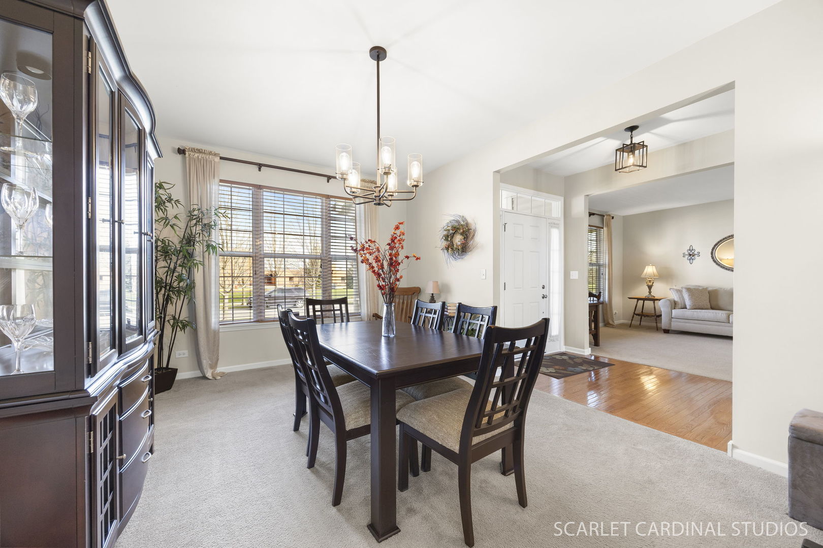 829 Preston Lane, Oswego, IL 60543