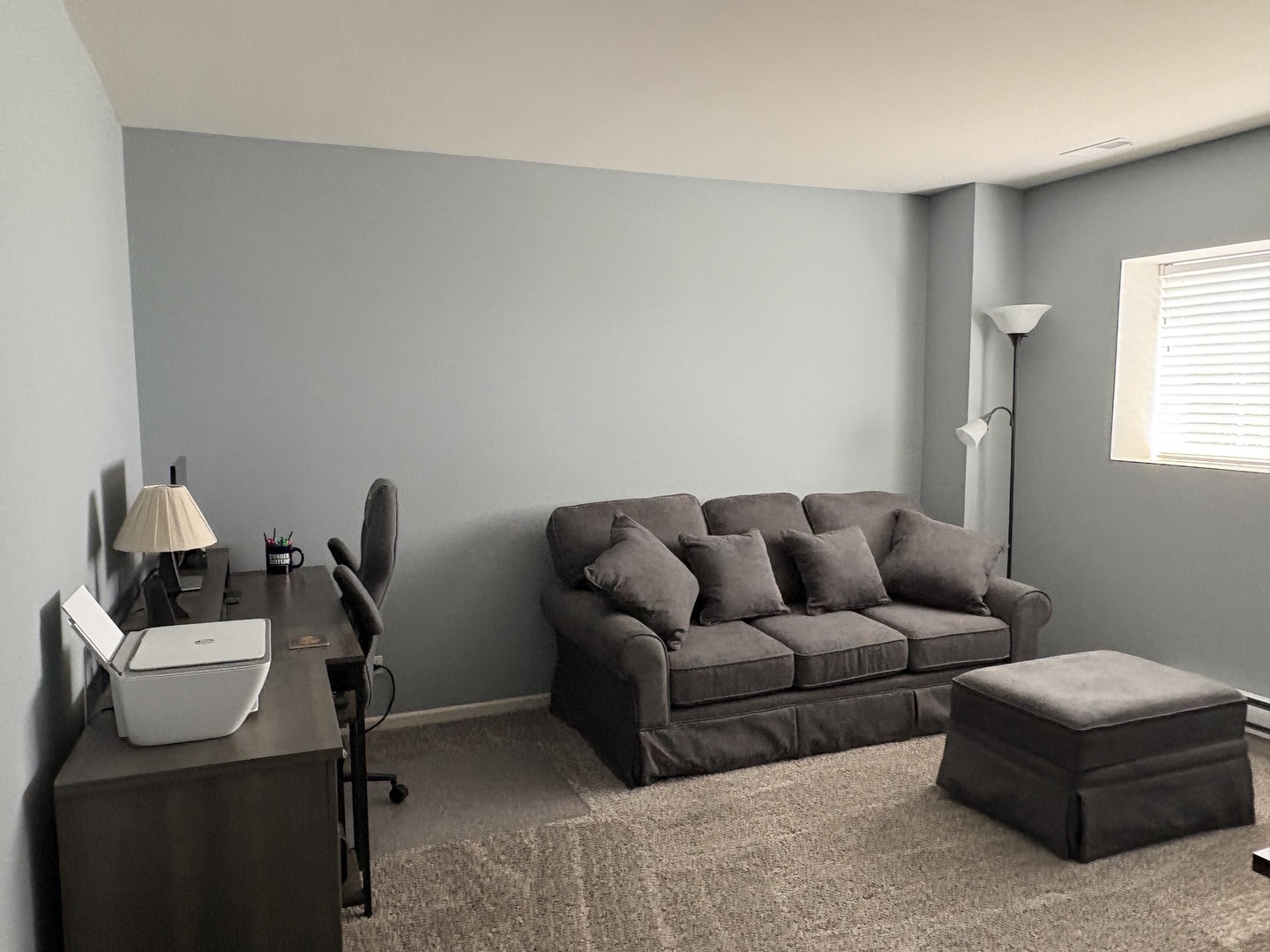 582 Spring Leaf Drive, Joliet, IL 60431