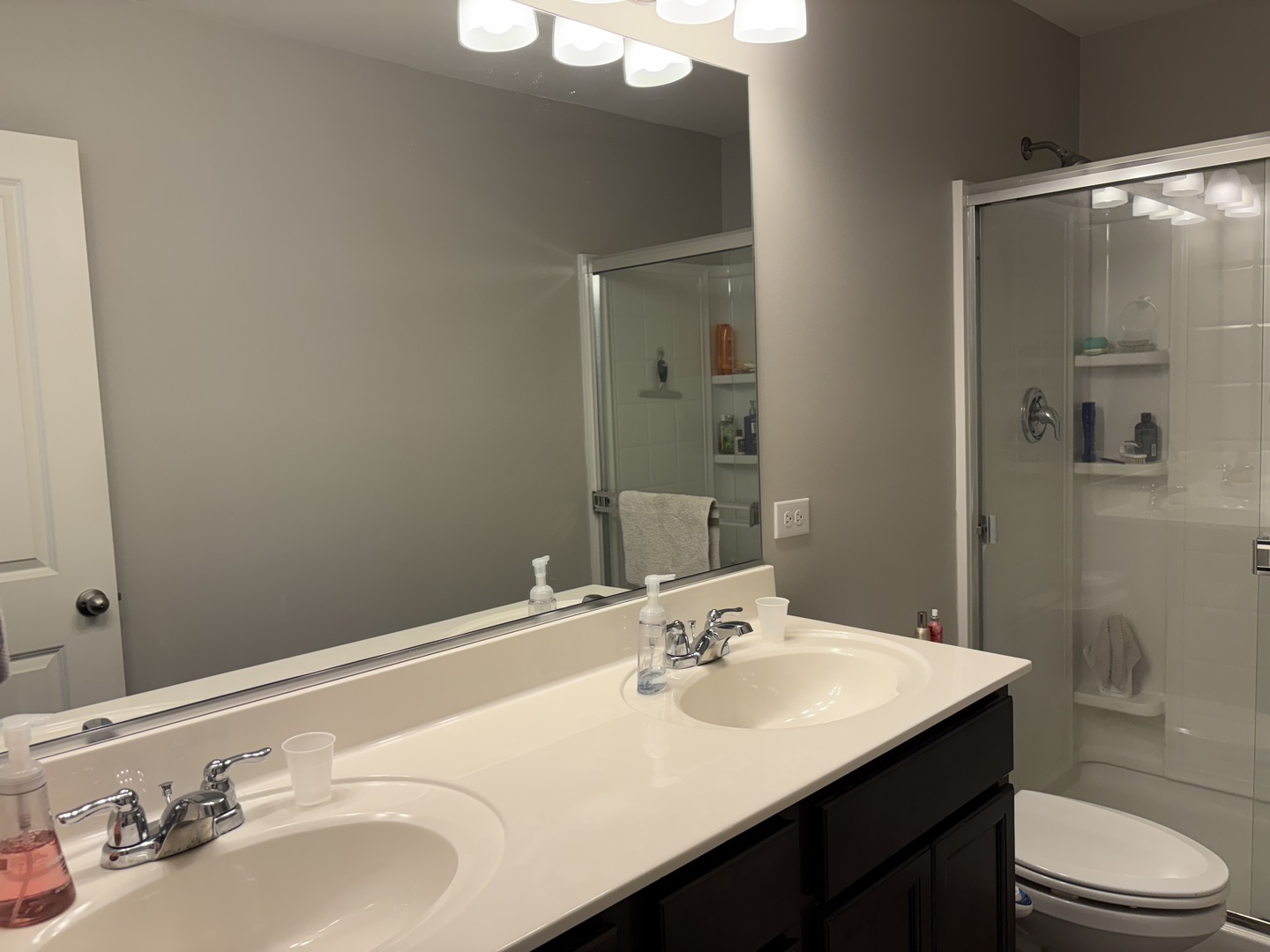 582 Spring Leaf Drive, Joliet, IL 60431