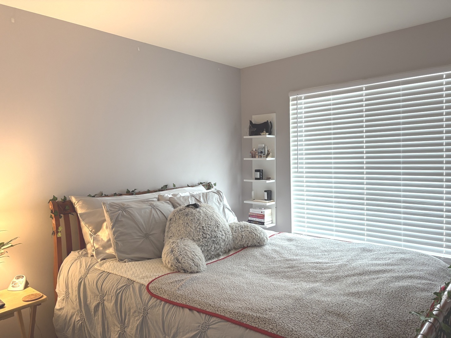 582 Spring Leaf Drive, Joliet, IL 60431