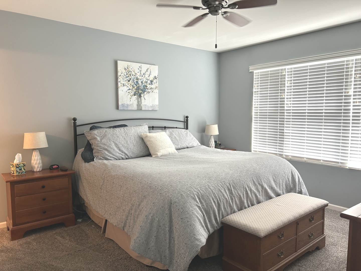 582 Spring Leaf Drive, Joliet, IL 60431