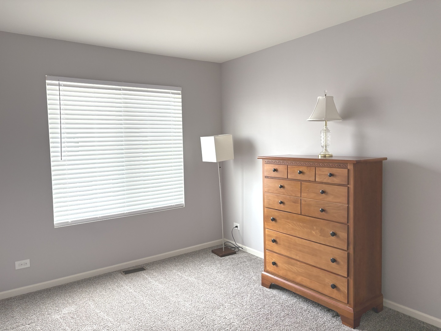 582 Spring Leaf Drive, Joliet, IL 60431