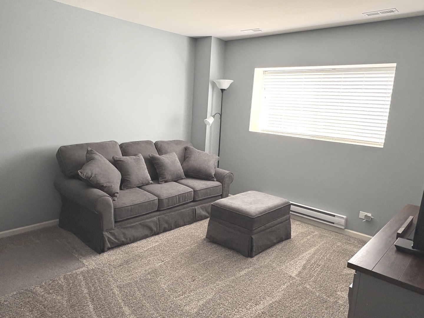 582 Spring Leaf Drive, Joliet, IL 60431