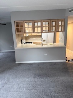 200 N Addison Avenue #206, Elmhurst, IL 60126