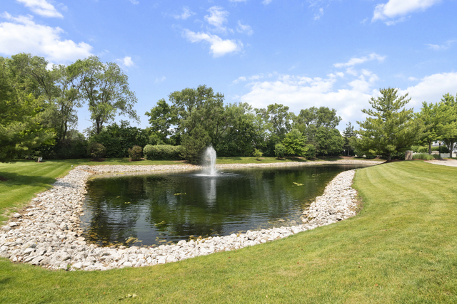 1959 Timberview Drive, Joliet, IL 60431