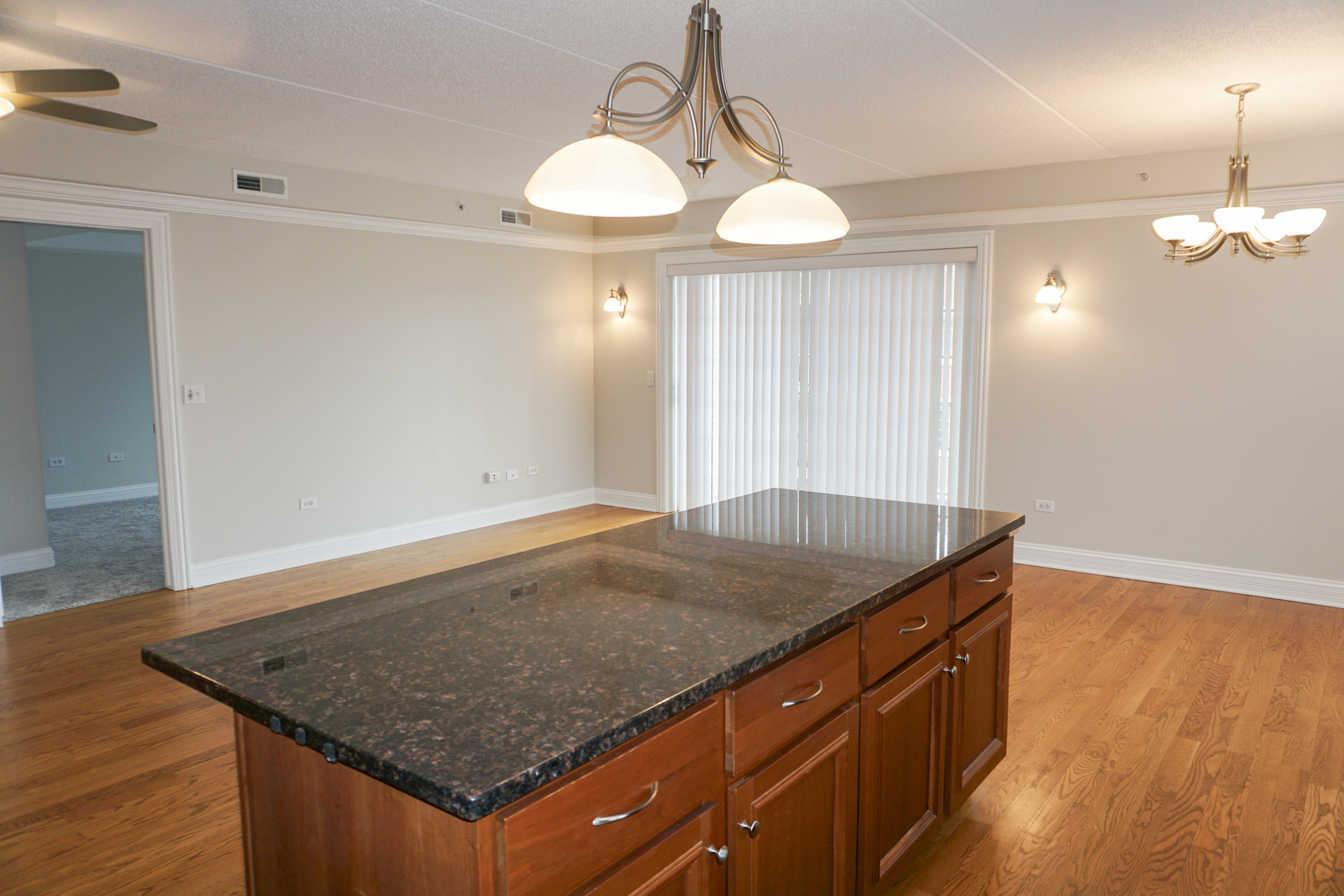 4811 N Olcott Avenue #515, Harwood Heights, IL 60706