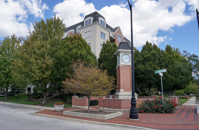 4811 N Olcott Avenue #515, Harwood Heights, IL 60706