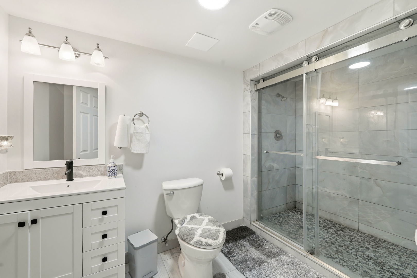 388 Preserve Lane, Wood Dale, IL 60191