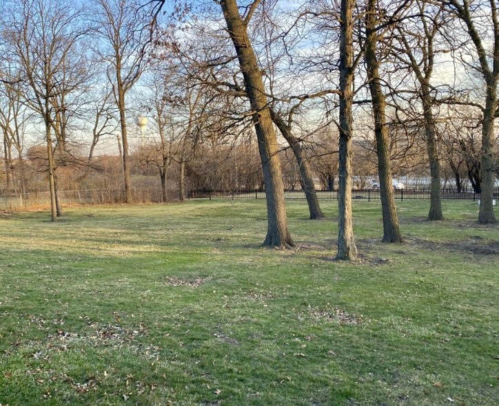 11 Woodridge Drive, Oak Brook, IL 60523