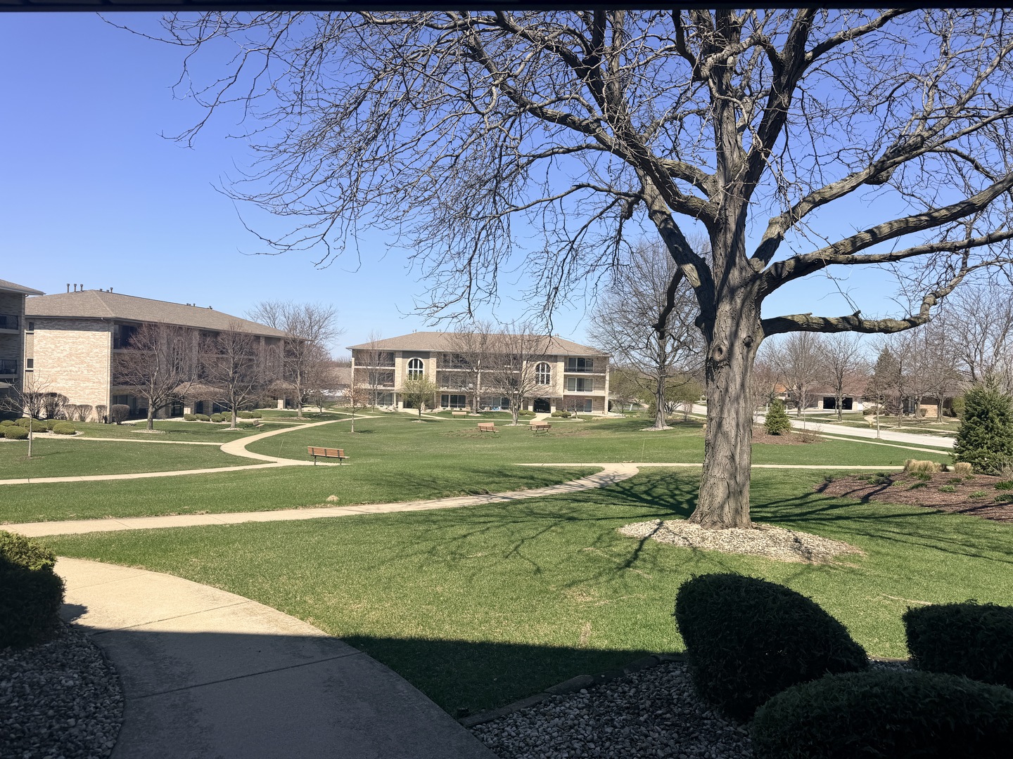 17828 Bernard Drive #1A, Orland Park, IL 60467