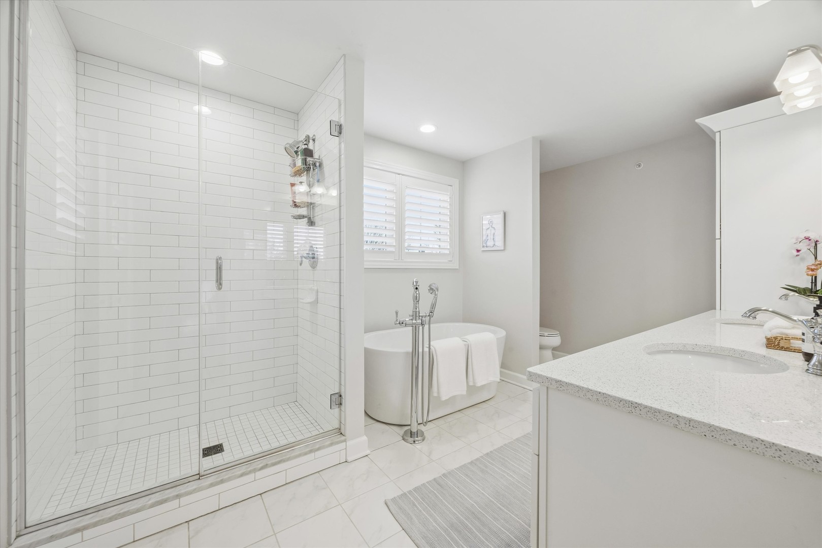 Western Springs, IL 60558