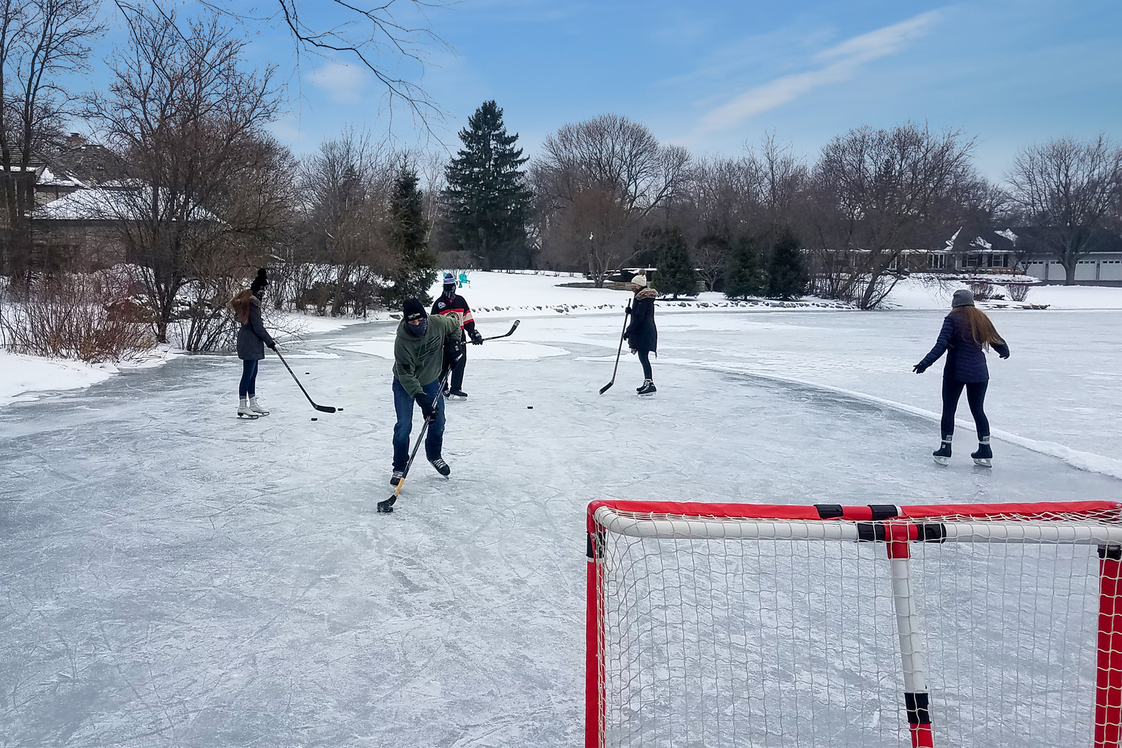 1620 Pheasant Trail, Inverness, IL 60067