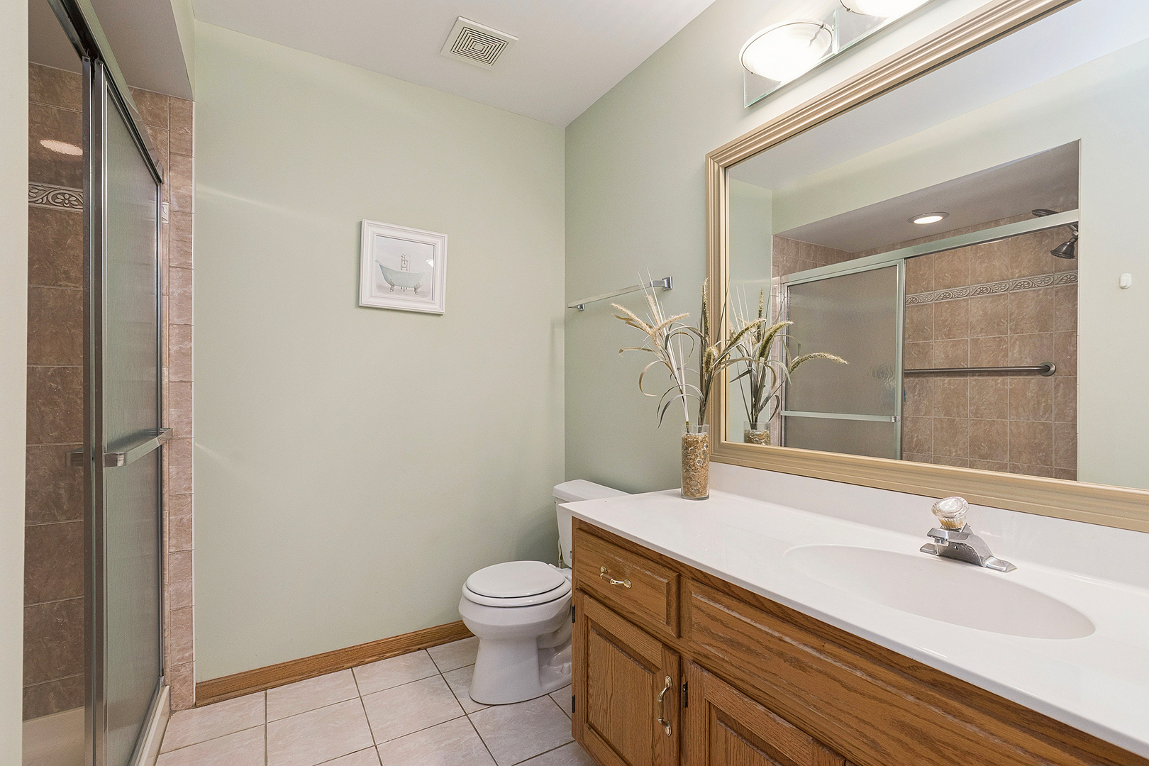 8966 Jeanie Lane, Frankfort, IL 60423