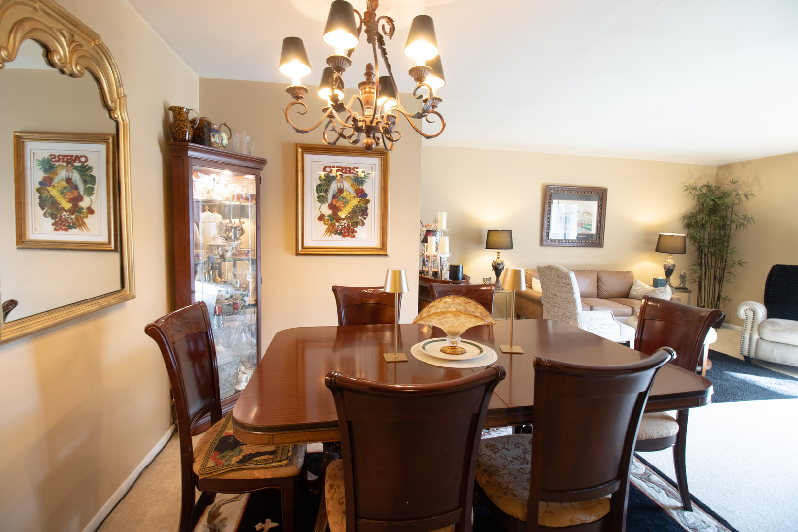 521 73RD Street #104, Downers Grove, IL 60516