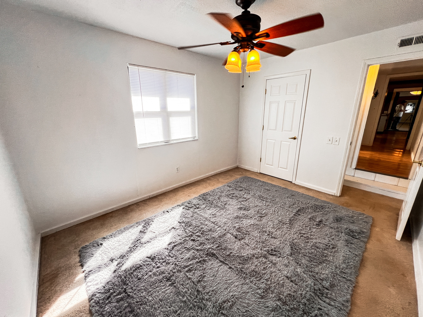 21604 Fox Drive, Carlyle, IL 62231