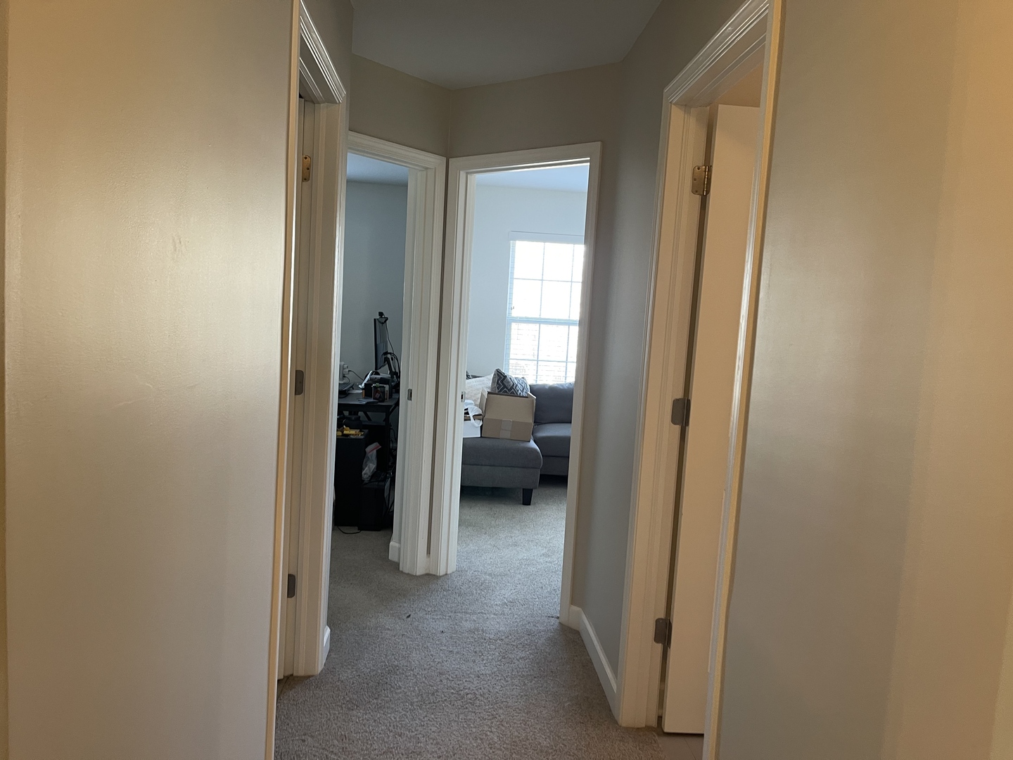 3252 Cool Springs Court, Naperville, IL 60564