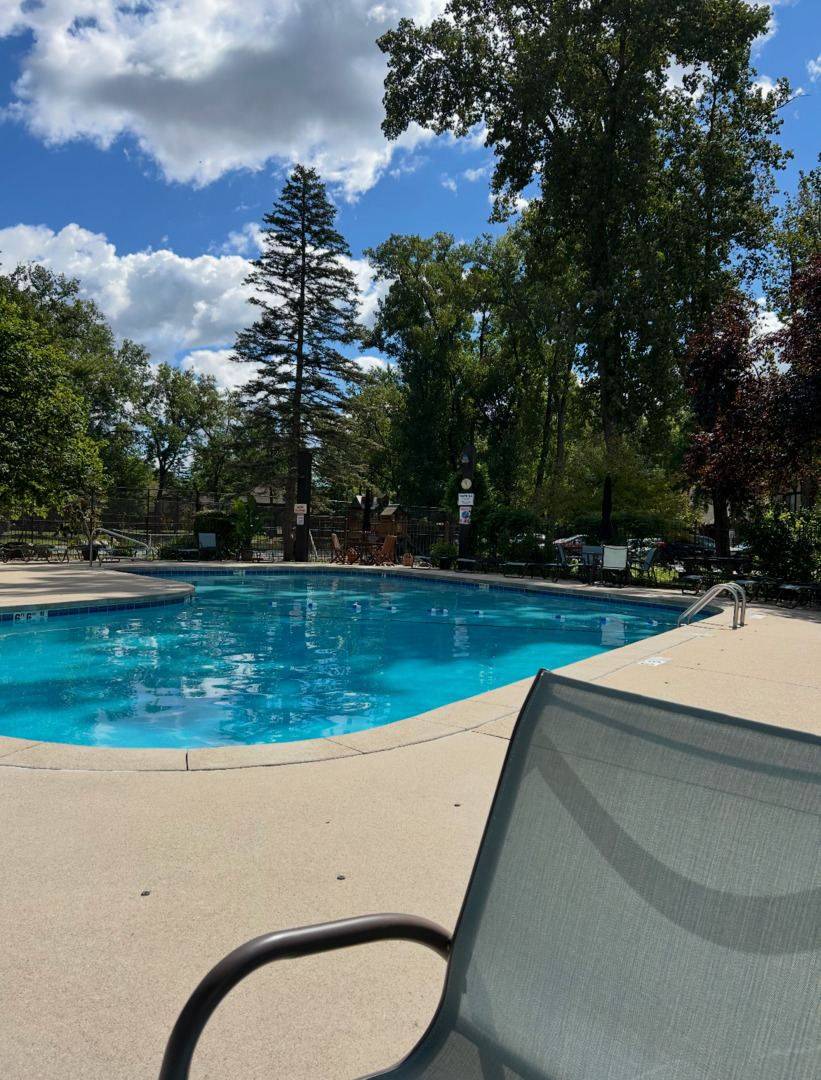 8137 Chestnut Drive #C, Palos Hills, IL 60465