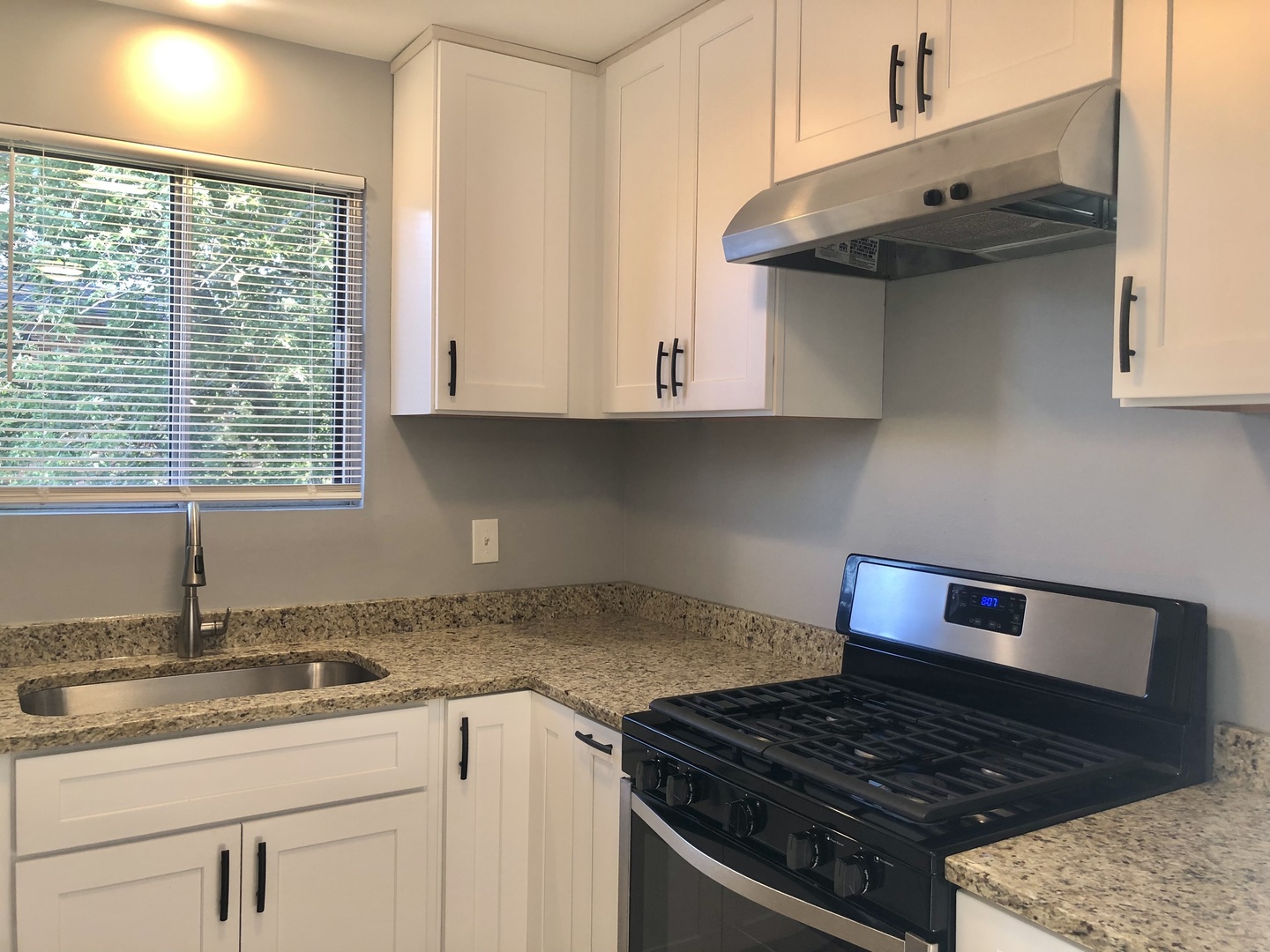 624 W 65th Street #6, Westmont, IL 60559