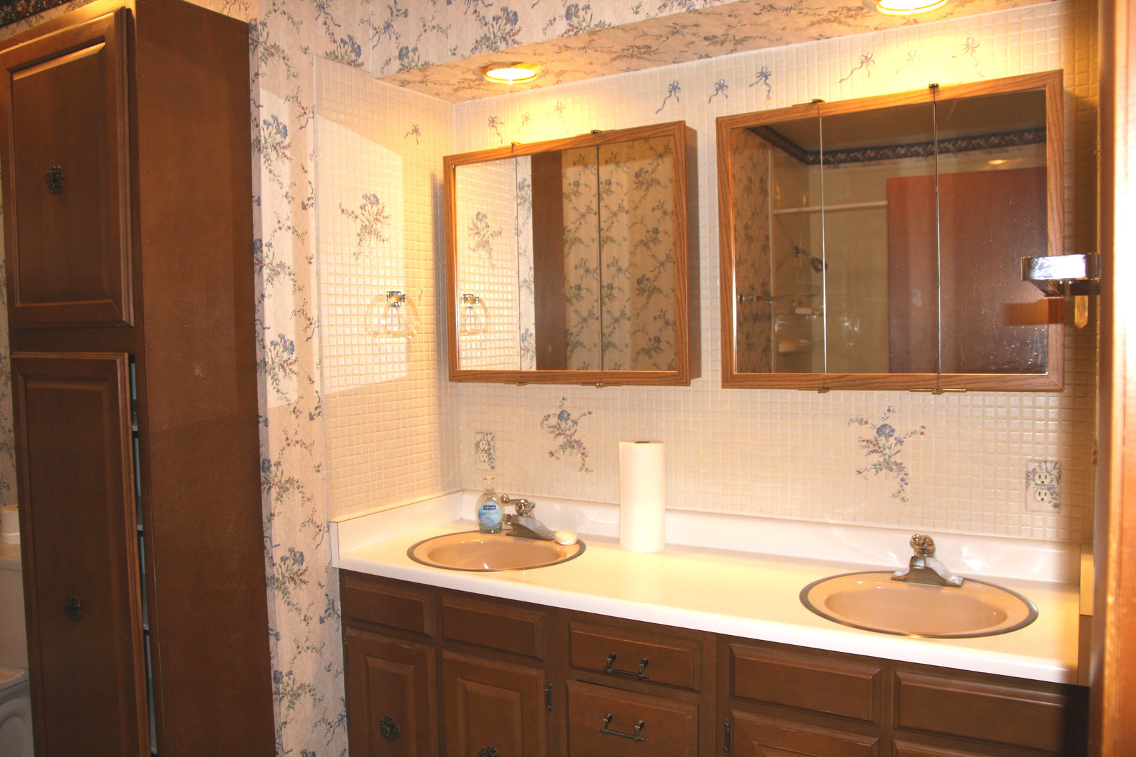 321 E Elm Street, Piper City, IL 60959