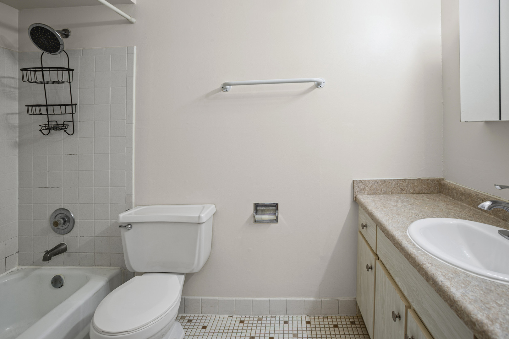 1375 Rebecca Drive #408, Hoffman Estates, IL 60169