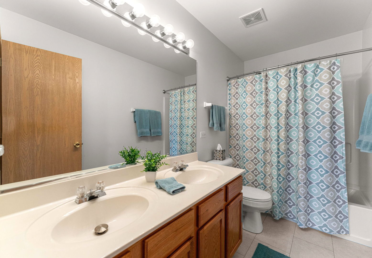 24303 Linden Lane, Plainfield, IL 60585