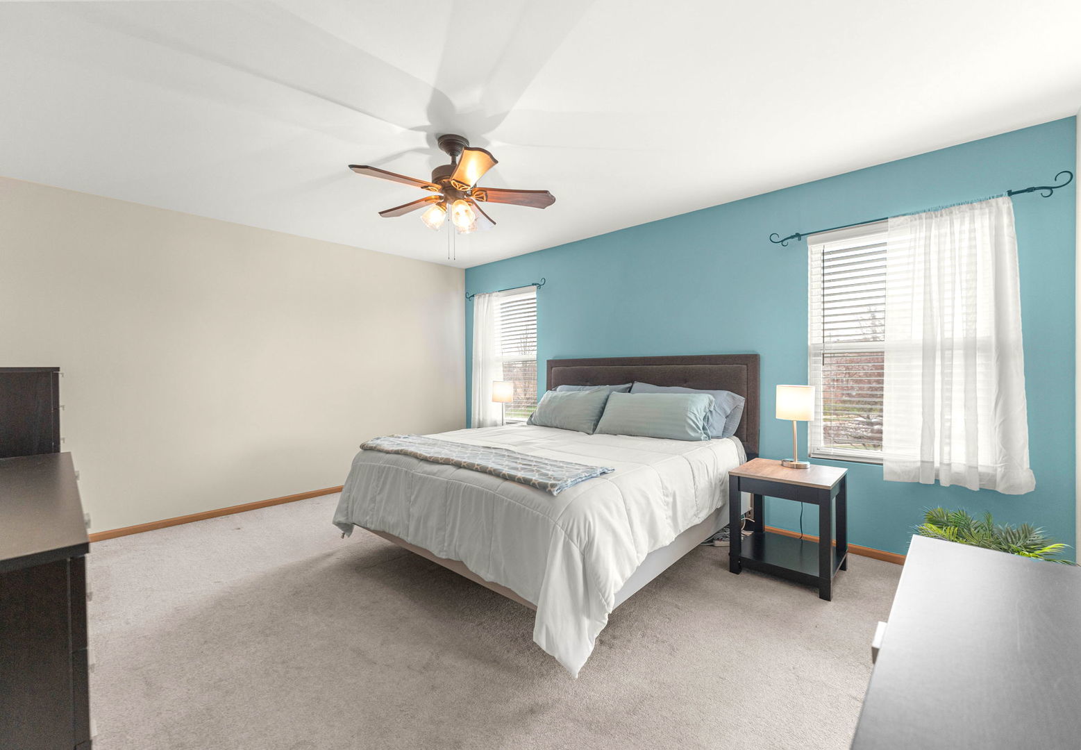 24303 Linden Lane, Plainfield, IL 60585