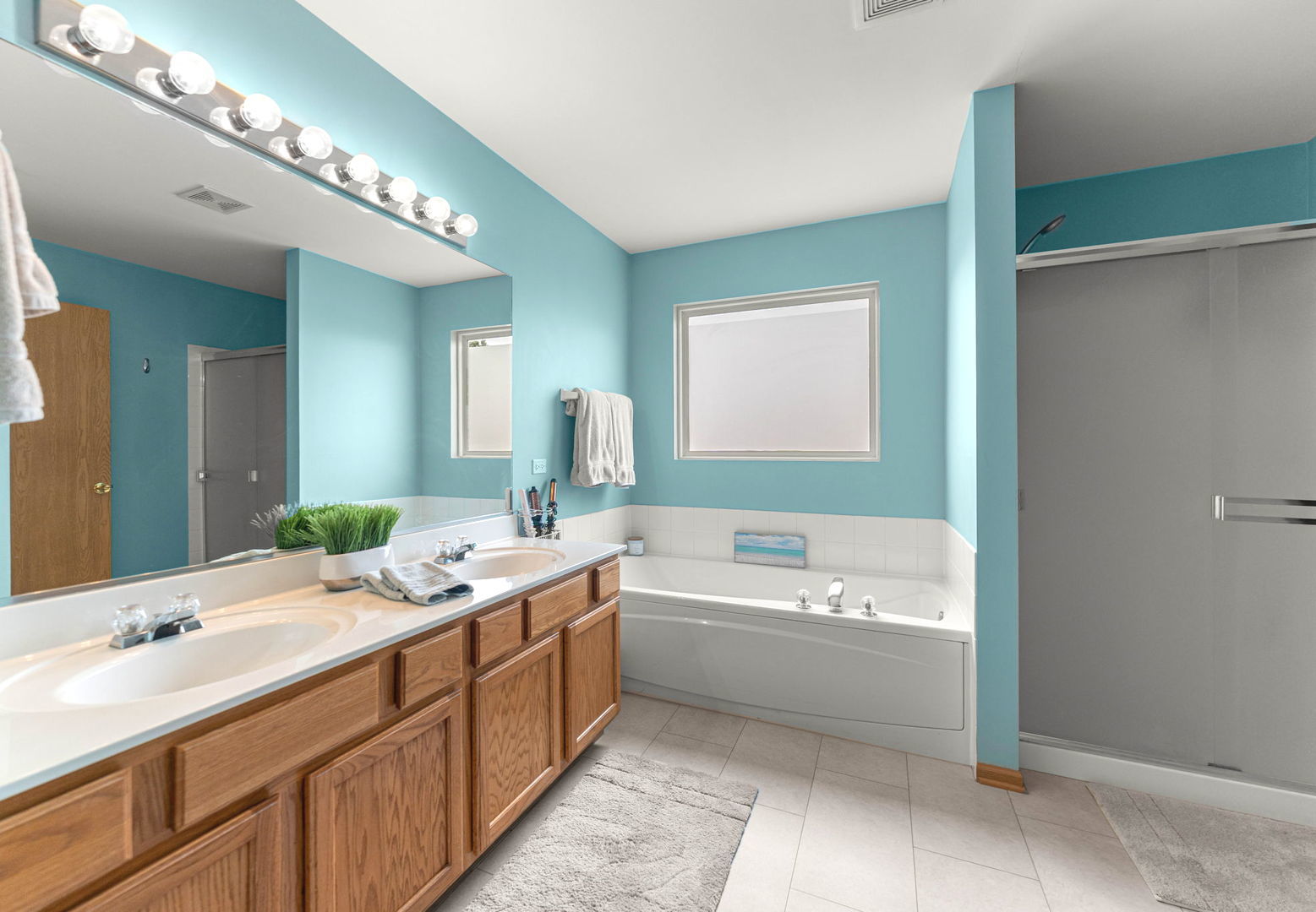 24303 Linden Lane, Plainfield, IL 60585