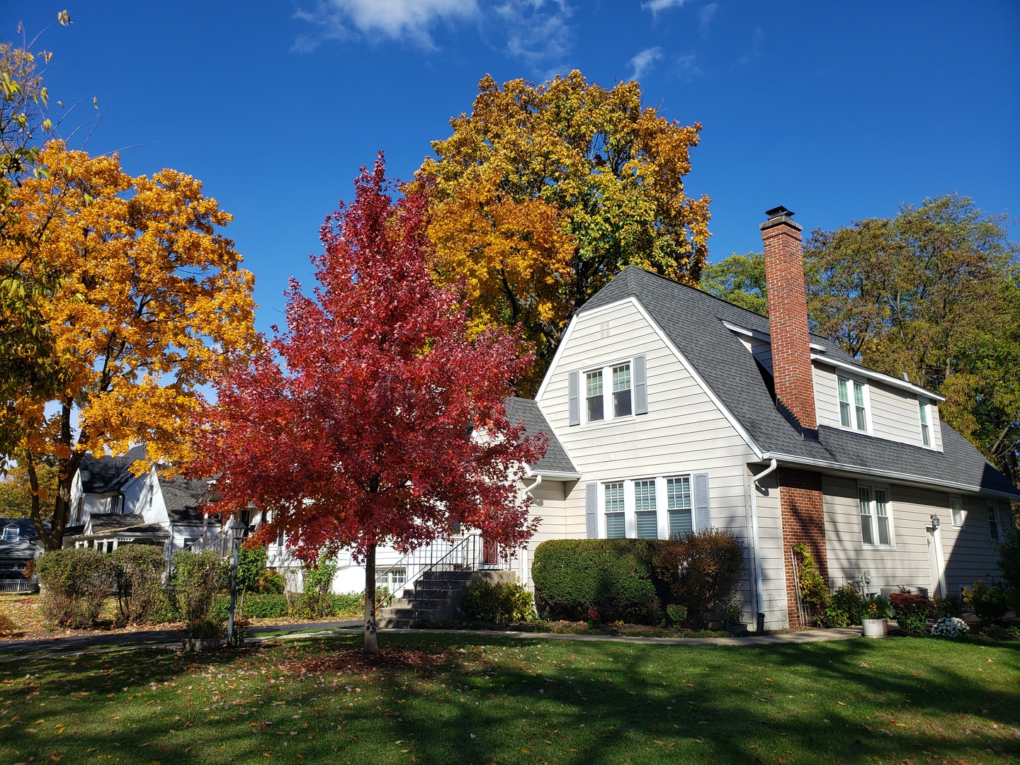 5433 BROOKBANK Road, Downers Grove, IL 60515