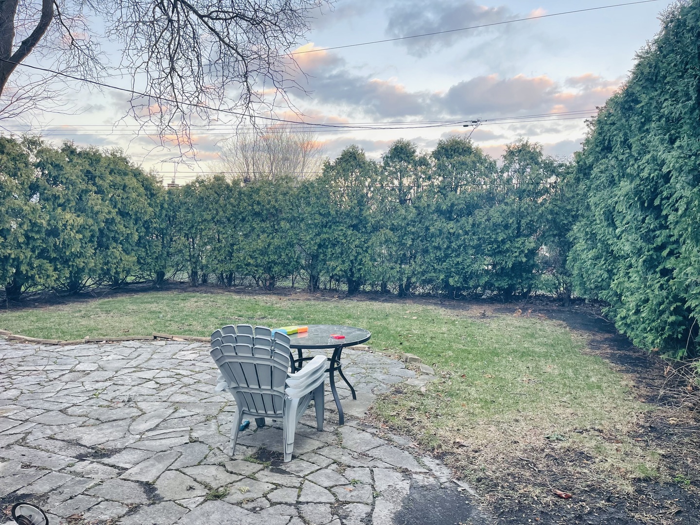 8925 Oriole Avenue, Morton Grove, IL 60053